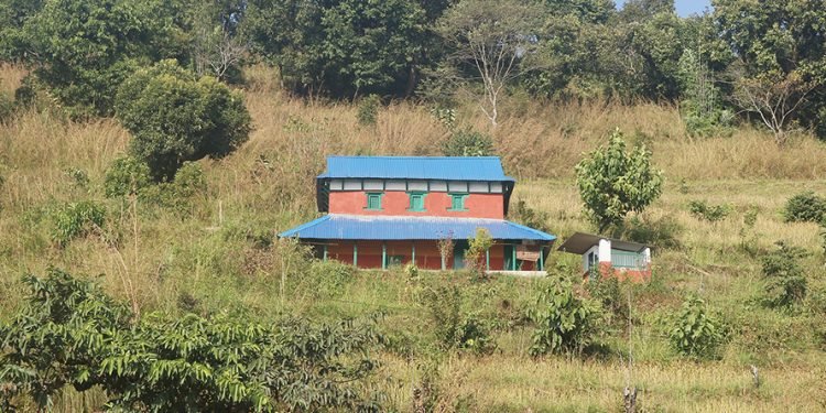 एघार महिनामा पाँच हजार तीन सयले छाडे गाउँ