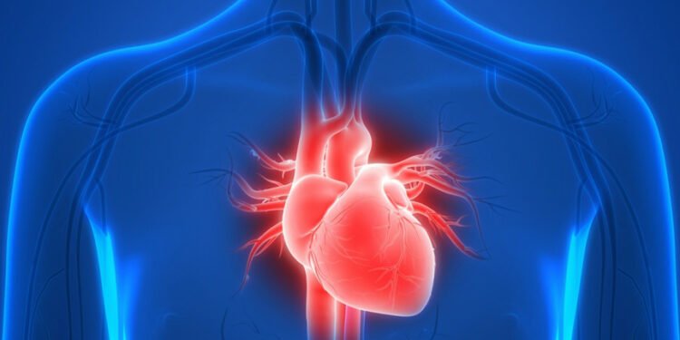 हेल्थ टिप्सः मुटु बचाउन ध्यान दिनुपर्ने कुरा