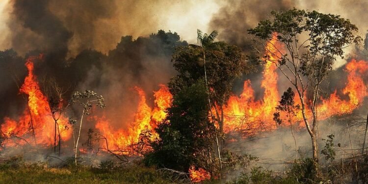 देशैभर तुवाँलोको साम्राज्य, रोकिएन आगलागी