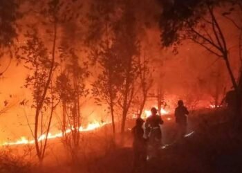 चीनमा डढेलोका कारण करिब दुई हजार विस्थापित