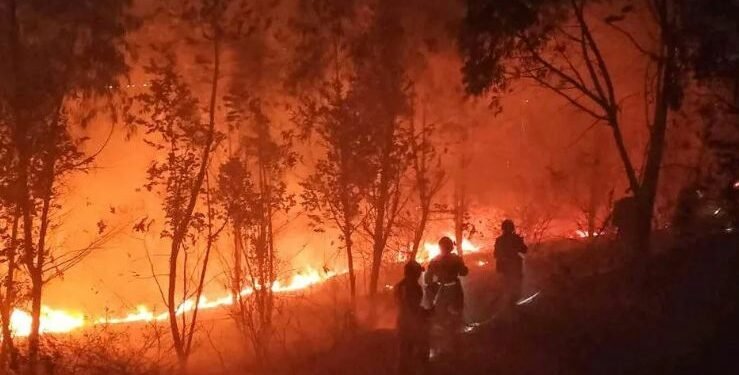 चीनमा डढेलोका कारण करिब दुई हजार विस्थापित