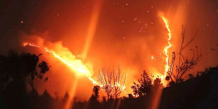 दुबईको एक आवासीय भवनमा आगलागी हुँदा १६ जनाको मृत्यु, ९ घाइते