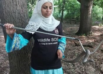 जम्मू कश्मीरकी वन्यजन्तु संरक्षक आलिया मिर सम्मानित