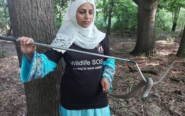 जम्मू कश्मीरकी वन्यजन्तु संरक्षक आलिया मिर सम्मानित