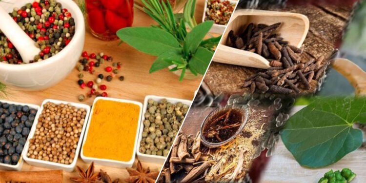 प्रा डा चन्द्रराज सापकोटा भन्छन् – आयुर्वेद अध्ययन संस्थान आवश्यक छ