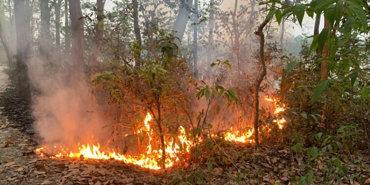 खानीखोलाको तीन जङ्गलमा डढेलो, सचेत रहन आग्रह