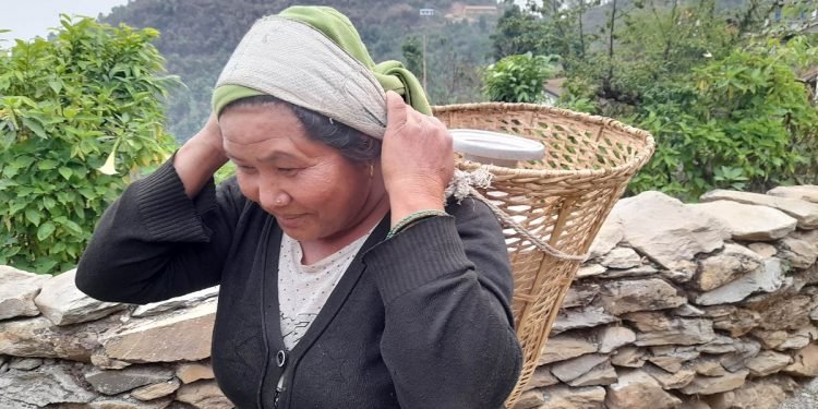 ‘सोलार प्यानल’मा समस्या आएपछि दगाममा खानेपानी अभाव