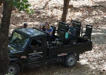 बर्दिया निकुञ्जमा पर्यटकको चलपहल बढ्दै