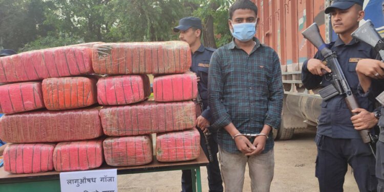 १८० किलो गाँजासहित भारतीय नम्बर प्लेटको ट्रक र चालक नियन्त्रणमा