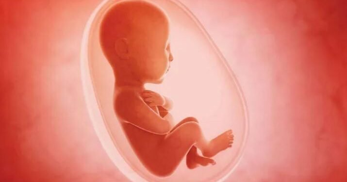 सुुरक्षित गर्भपतनसम्बन्धी प्रशिक्षण सुरु