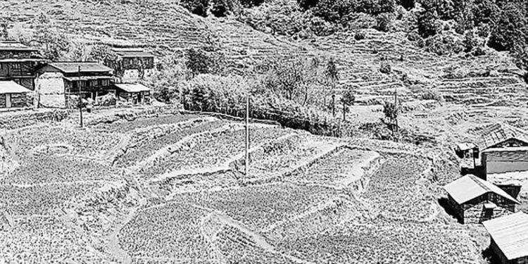 विकास गाउँ पुग्यो, मान्छे सहर पसे