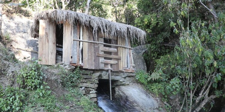 घट्टकै भरमा चल्दछ दैनिकी