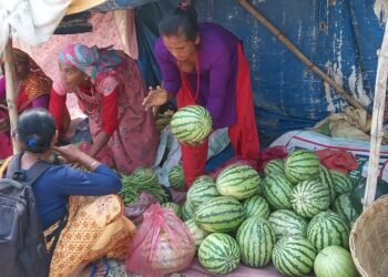 ‘हिनौना’ को व्यापारबाट दैनिक चार हजार आम्दानी