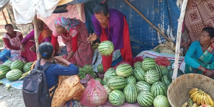 ‘हिनौना’ को व्यापारबाट दैनिक चार हजार आम्दानी