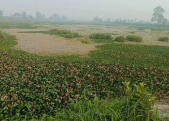 माफियाले गिद्धे नजर लगाएपछि सिमसार क्षेत्र बचाऊ संघर्ष समिति गठन