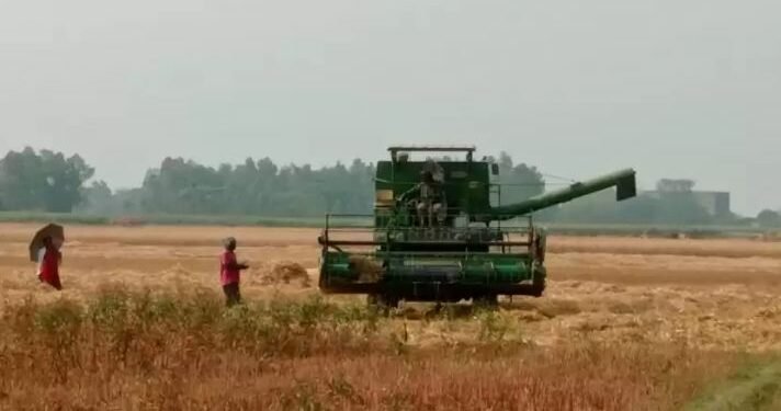 प्रविधिमा किसानको आकर्षण बढ्दो