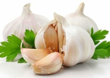 हेल्थ टिप्सः शरीरमा रोगप्रतिरोधात्मक क्षमता बढाउने लसुन कसरी खाने ?
