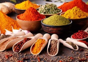 हेल्थ टिप्सः मरमसला खान नजाने विष समान