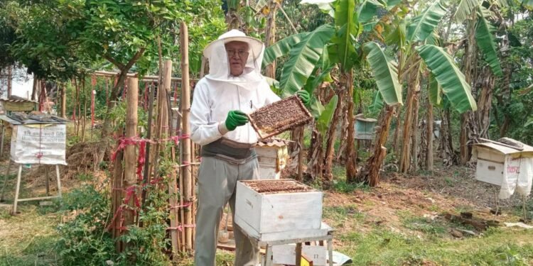 पाल्पा रामपुरका जयनारायण न्यौपानेको मौरी पालनमा मोह