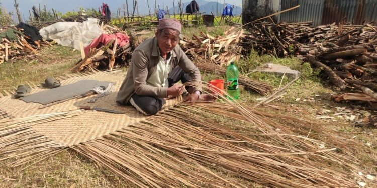 मान्द्रा बुनेरै जीविकोपार्जन