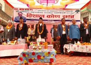 प्रधानमन्त्री प्रचण्डविरुद्ध रास्वपाको उजुरी