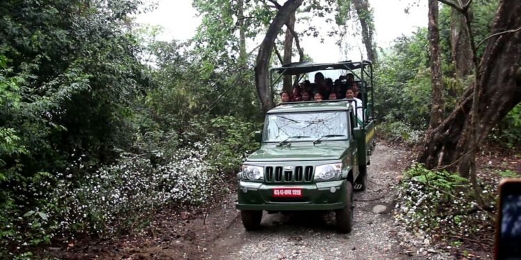 वन्यजन्तु अवलोकनको नयाँ गन्तव्य बन्दै ‘पिप्रहर’