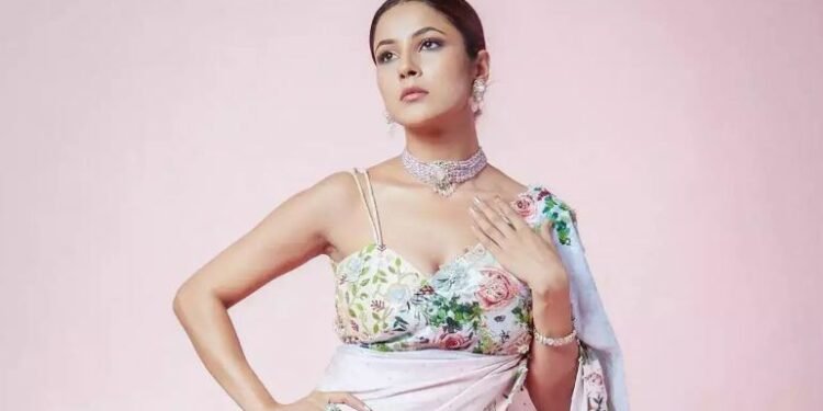 भारतीय अभिनेत्री शहनाज कौर गिलको हट लुक (फोटोफिचर)