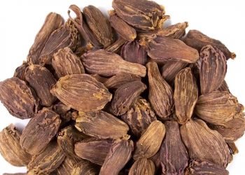 हेल्थ टिप्सः अलैंची खाँदा फाइदै फाइदा