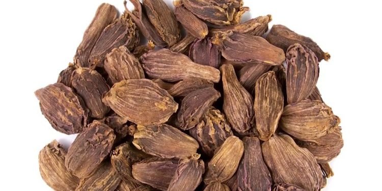 हेल्थ टिप्सः अलैंची खाँदा फाइदै फाइदा