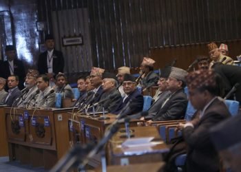 नीति तथा कार्यक्रममा कस्ता संशोधन परे ?