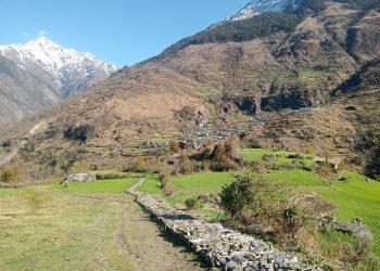 साइपालमा खाद्य सङ्कट, सिंहदरबार नधाएर पुग्दैन चामल
