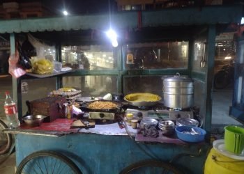 ठेला व्यापारबाटै मनग्य आम्दानी