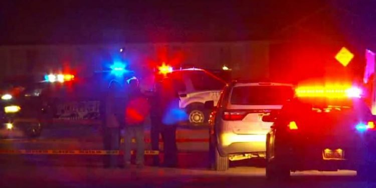 चार महिनामा अमेरिकामा २०७ गोलीकाण्ड