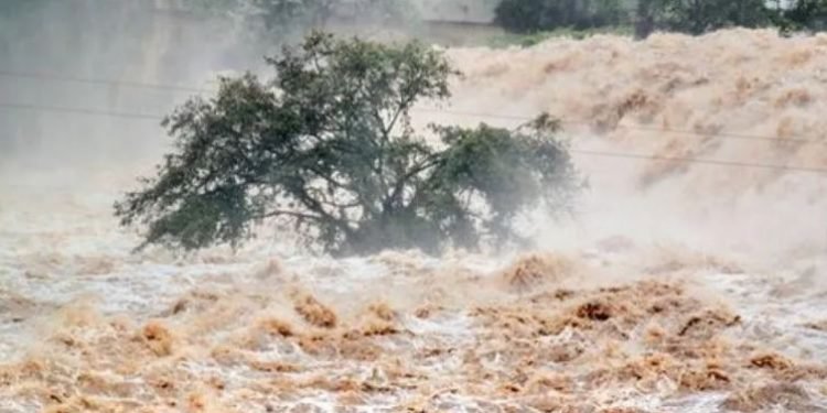 अफगानिस्तानमा बाढीको वितण्डा : चार जनाको मृत्यु