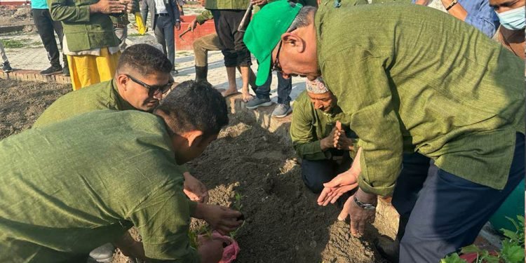 प्रधानमन्त्रीले बालुवाटारमा सुरु गरे तरकारी खेती