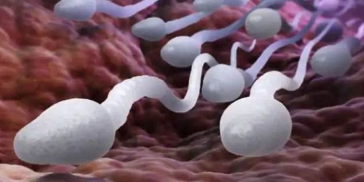 वीर्यसम्बन्धी केही रोचक तथ्यहरु