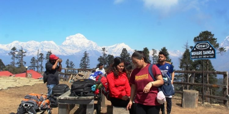 ‘मोहरेडाँडा’मा पर्यटक आकर्षण बढ्दो