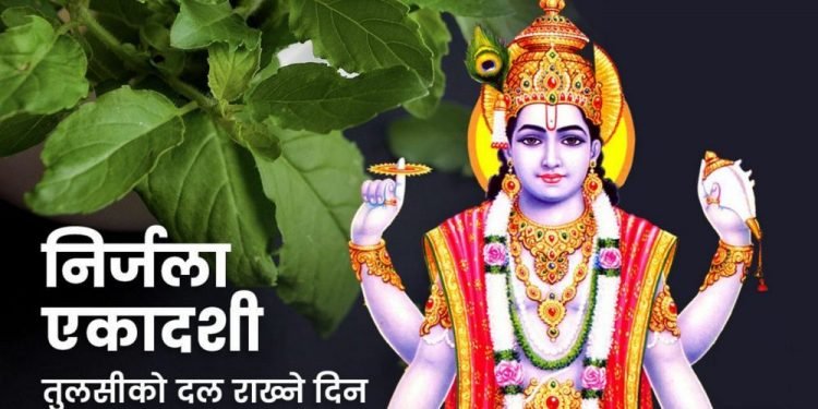 निर्जला एकादशीः घर घरमा तुलसीको दल राखिँदै