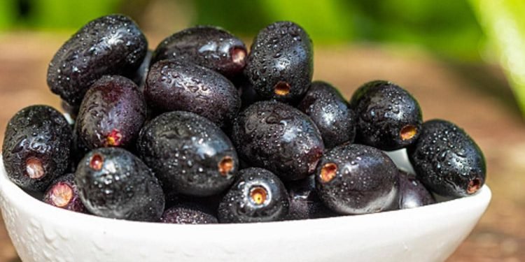 हेल्थ टिप्सः स्वाथ्यवद्र्धक फल जामुन