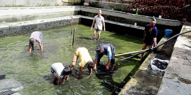 जलका स्रोतमा पूजा गरी मनाइयो सिठी नख पर्व