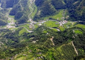 मध्यपहाडी लोकमार्गमा फलफूल आयोजना सुरु