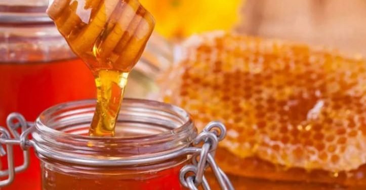 मह प्रशोधन केन्द्र निर्माण अन्तिम चरणमा