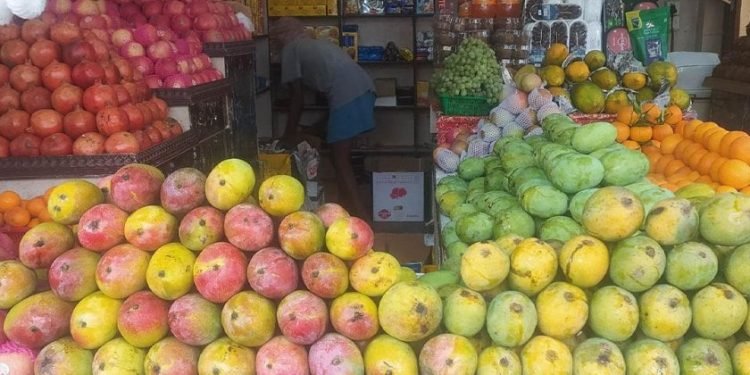 विषादी प्रयोग गरिएका आँप छ्यापछ्याप्ती