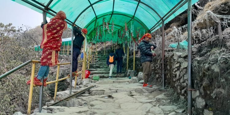 पाथीभरा जाने पदमार्गमा ‘फाइबरुको छहारी’