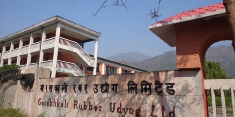 सार्वजनिक संस्थानः २५ नाफामा, १७ घाटामा र दुईवटाको कारोबार शून्य