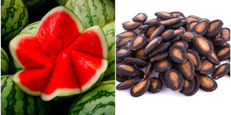 हेल्थ टिप्सः तरबुजाको बियाँले मोटोपन घटाउनदेखि छाला सुन्दर समेत बनाउँछ