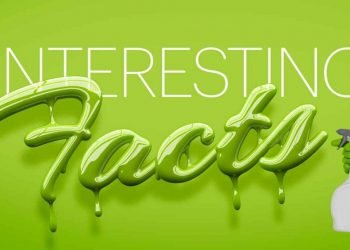 रोचक तथ्यः टाउको पलाउने जुक्का ?