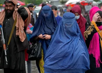 अफगानिस्तानमा महिलाद्वारा पाँच हजार कम्पनी सञ्चालनमा