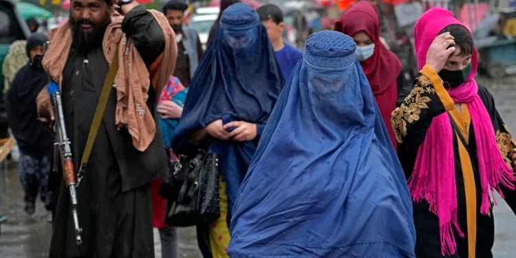 अफगानिस्तानमा महिलाद्वारा पाँच हजार कम्पनी सञ्चालनमा