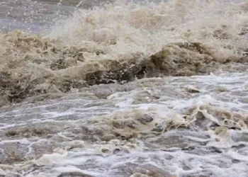 बाढी पहिरोका कारण पाँचथरमा ११९ परिवार विस्थापित